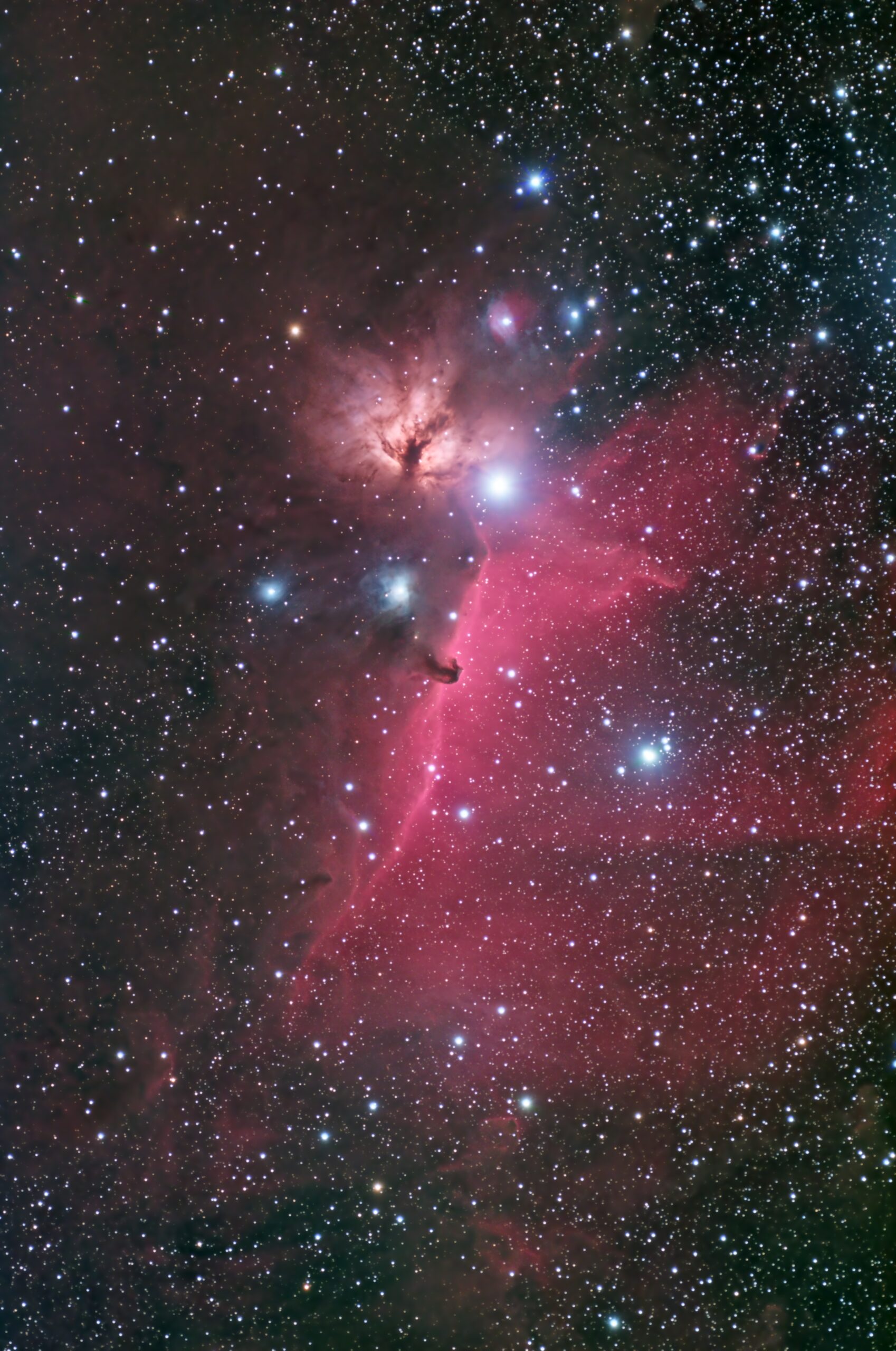 カラーバランスを整える 馬頭星雲の再処理 たのしい天体観測